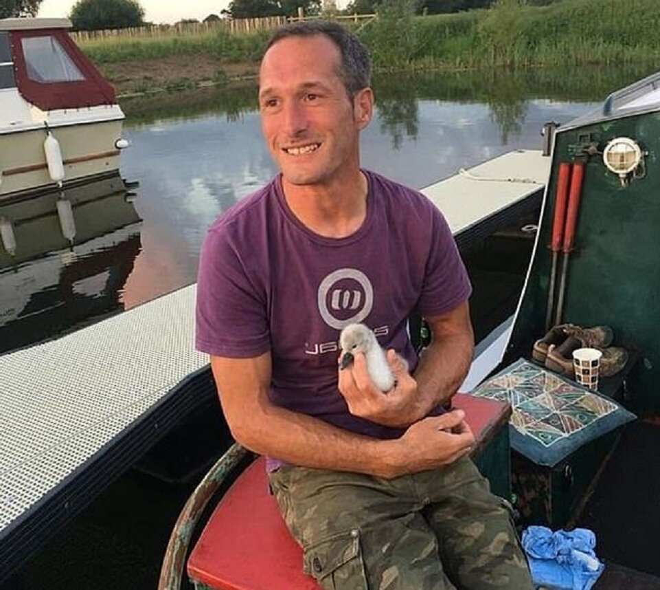 Интересно, как лебедь выражает привязанность?