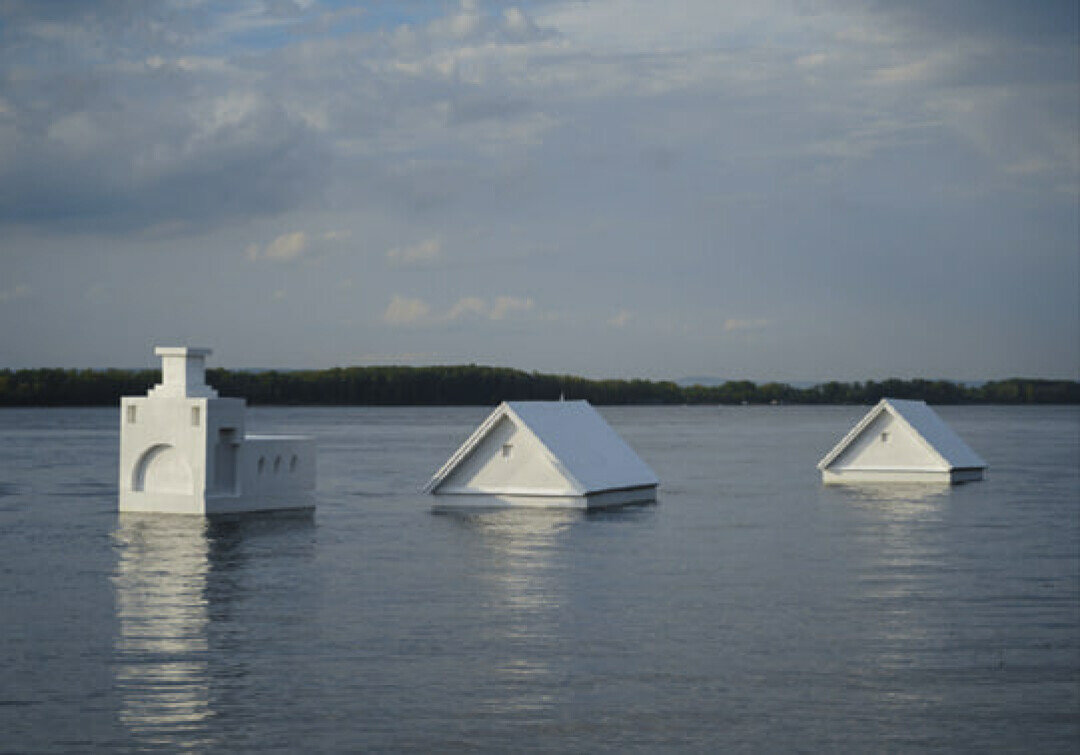    Ася Заславская. Инсталляция «Уходящая натура». 2020