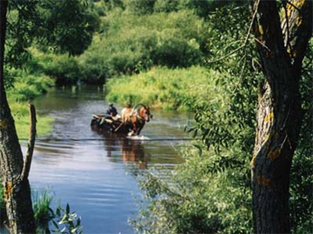 Река Мошна.