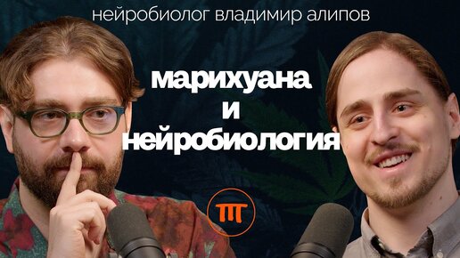 Каннабис/Конопля/Марихуана: вокруг чего столько споров? Нейробиолог Владимир Алипов