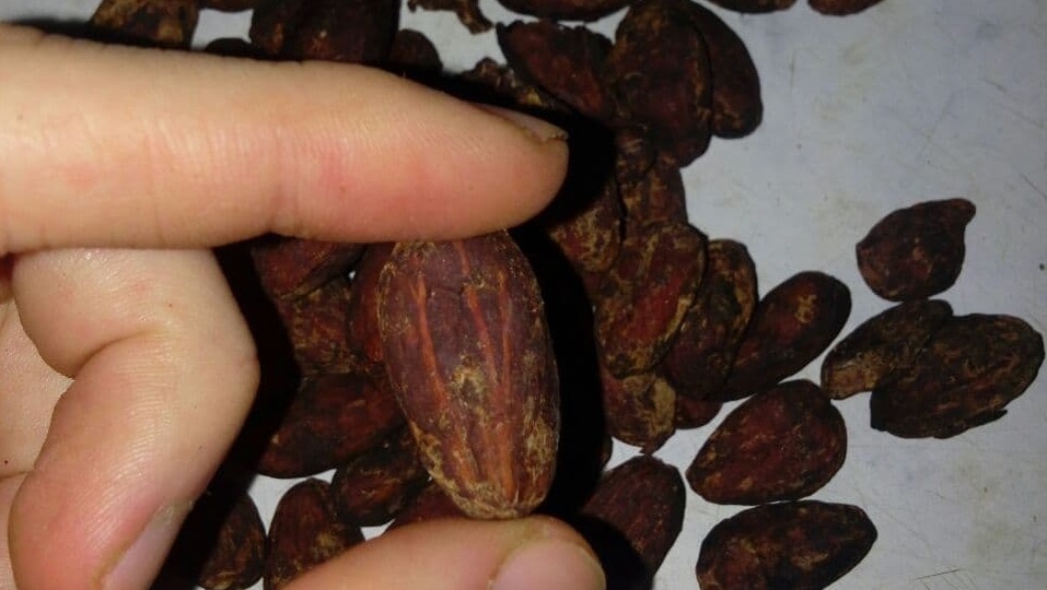 Как восстановить работу своей печени и вернуть здоровье? Мой опыт. 5 простых принципов, о которых вам не рассказывают