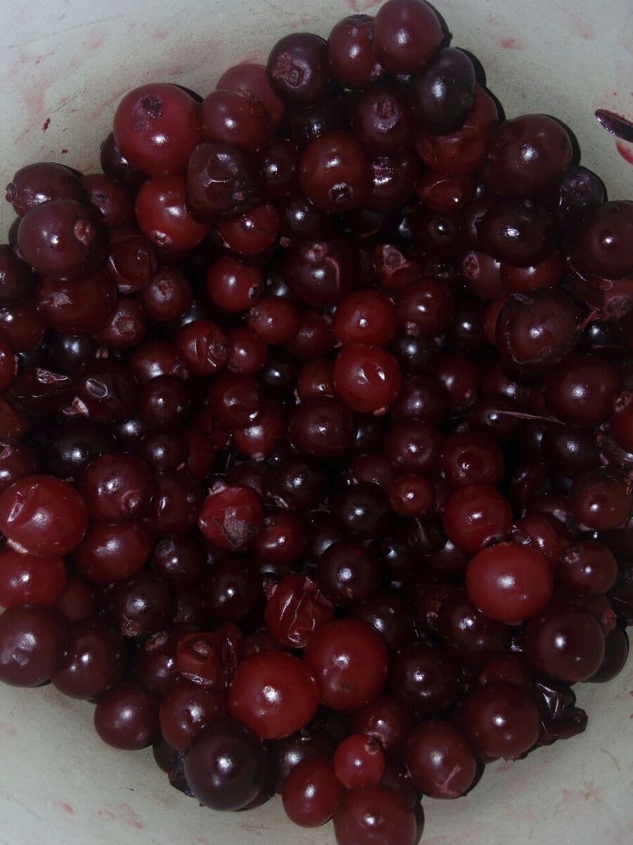 Клюква - самая эффективная ягода для снижения mTOR