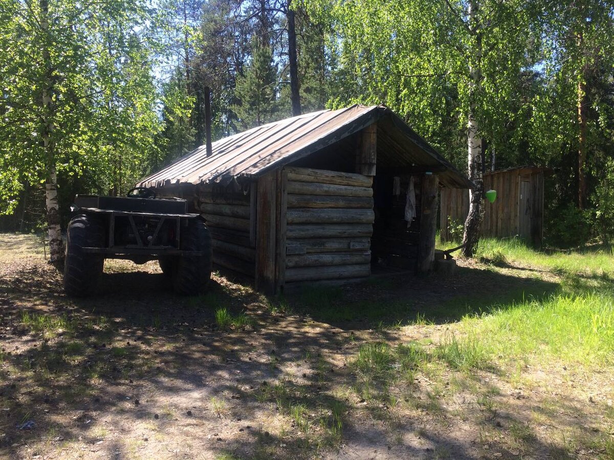 Вот такая лесная идиллия