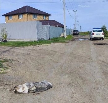 Герда😪
