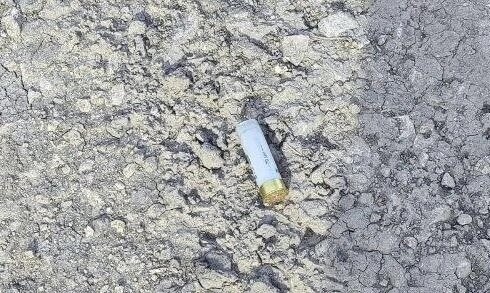 Гильза рядом с собакой