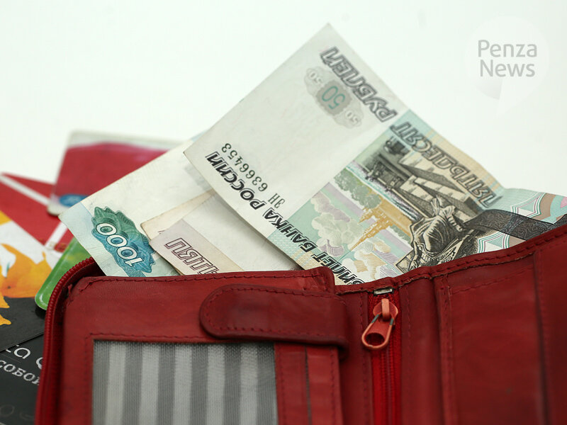   © Фото из архива ИА «PenzaNews»