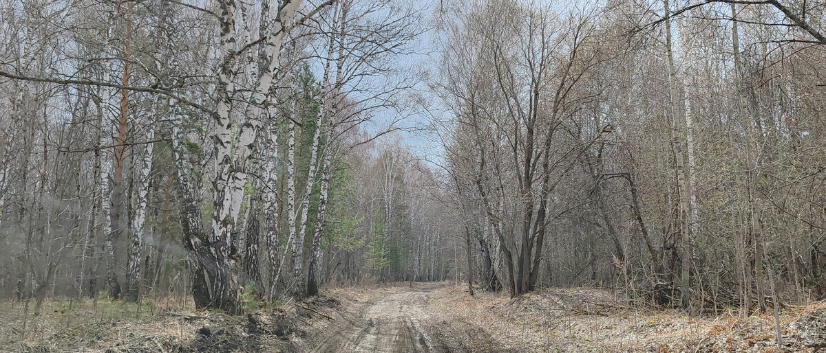 Это реально хорошая дорога! Для нас)))