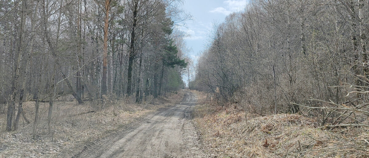 Плохая в фото почти не попадала, я была занята видеосъемкой