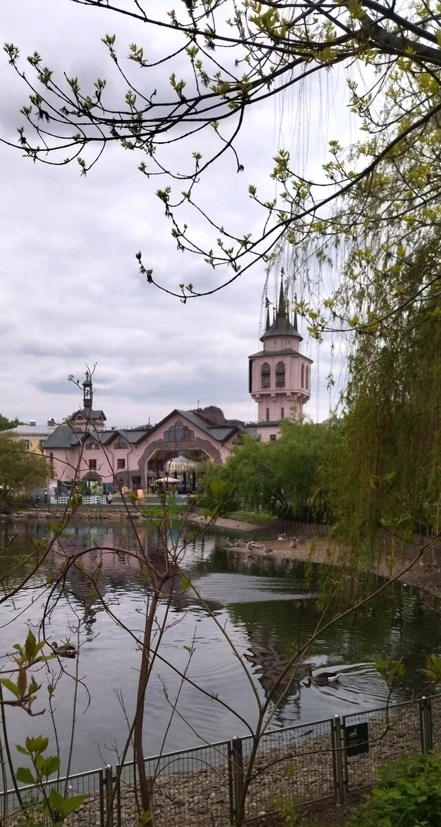 Фото автора.