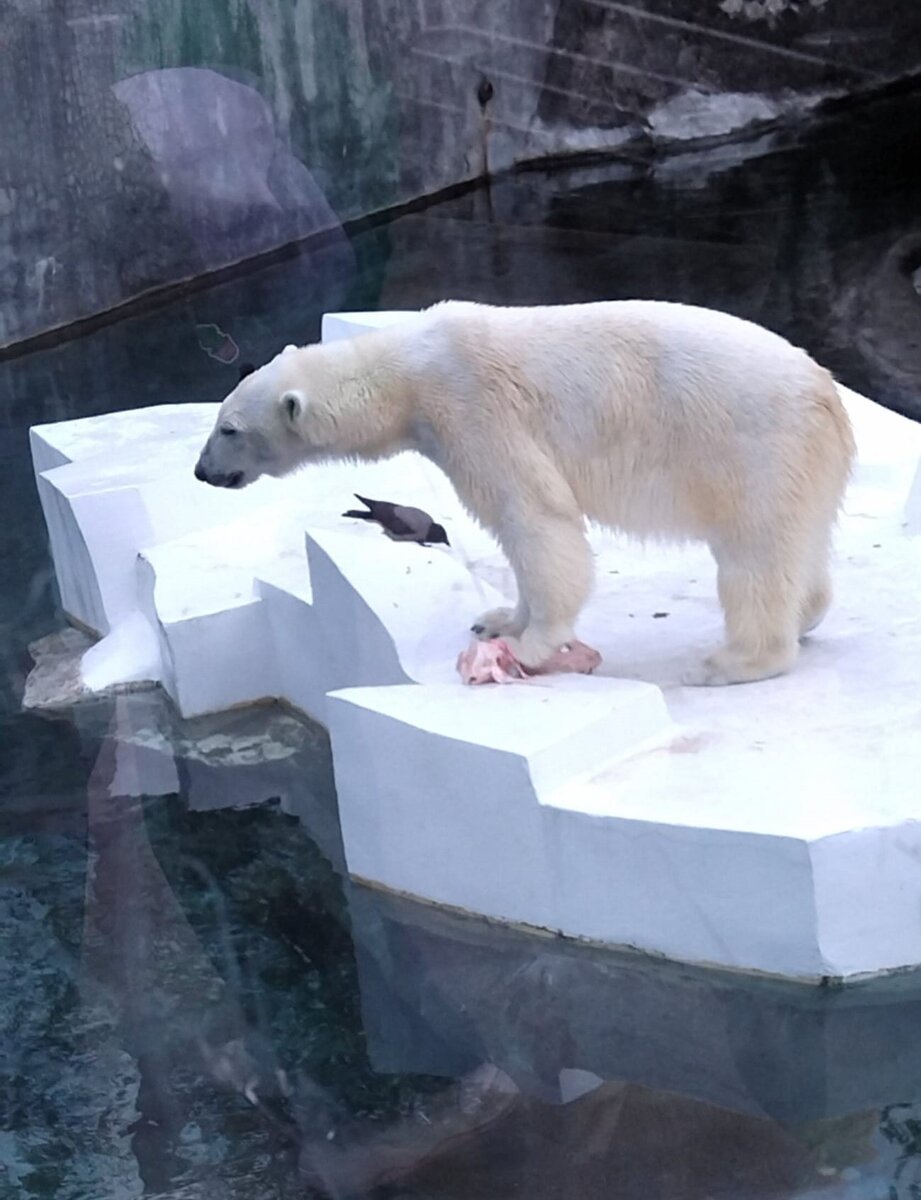 Фото автора.