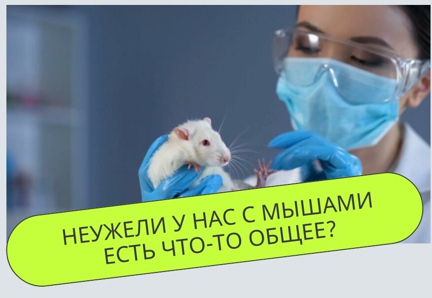 Источник фото - news.myseldon.com