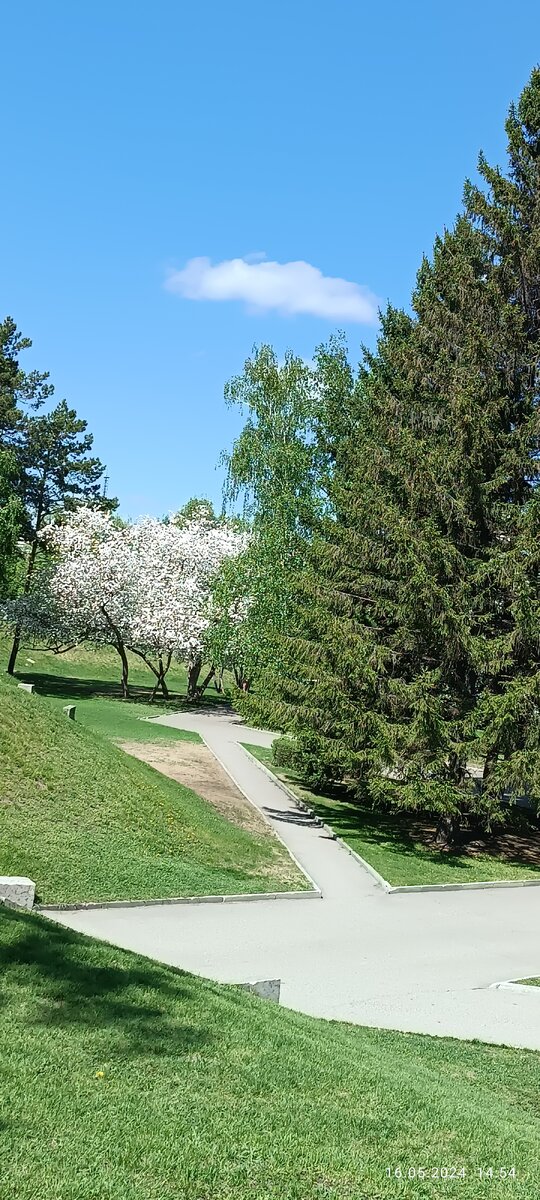 Фотография автора. Май 2024 года. 