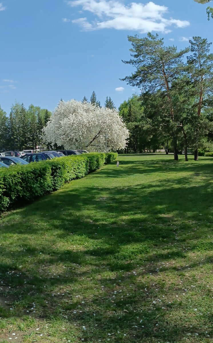 Фотография автора, май 2024 года. 