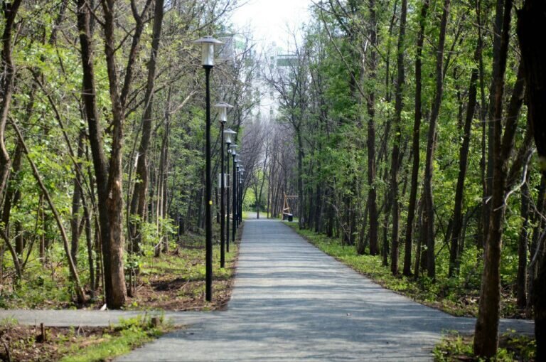    Гусеницы атакуют. В Оренбурге парк «Березка» обработают от вредителей Белов Михаил Александрович