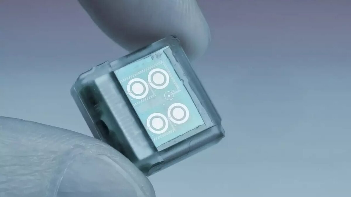 Фото: indicator.ru