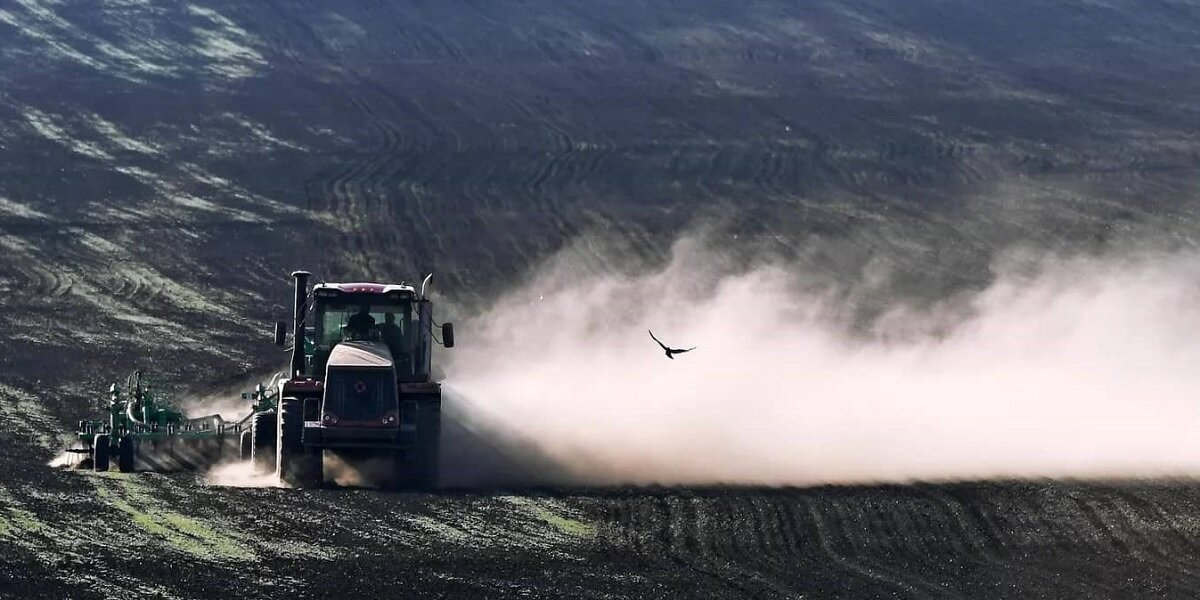 Фото: РИА "Новости" (https://cdnn21.img.ria.ru/images/07e5/04/10/1728581353_64:517:2786:2048_640x0_80_0_0_ca98db2e4445d1e6112e38ab4884edb1.jpg.webp)