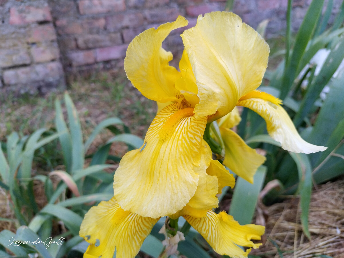 Новый цвет, таких еще не было