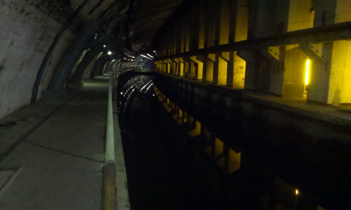 Фото Повелитель мух