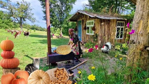 Приготовление Тонких Лепешек с Тыквой и Грецкими Орехами. Натуральные Напитки из Черного Боярышника.