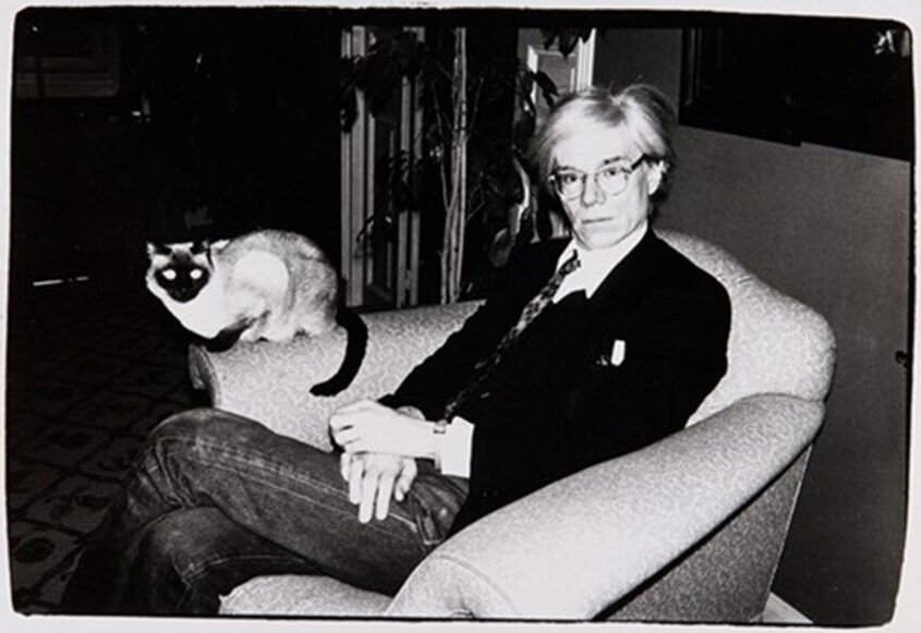 Папин бродяга, мамин симпатяга Энди Уорхол и его сиамская кошка Эстер