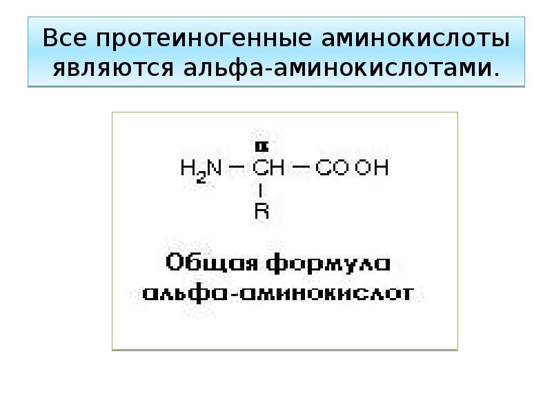 На этом изображении отмечена особенность структуры альфа-аминокислот. Изображение взято из интернета.