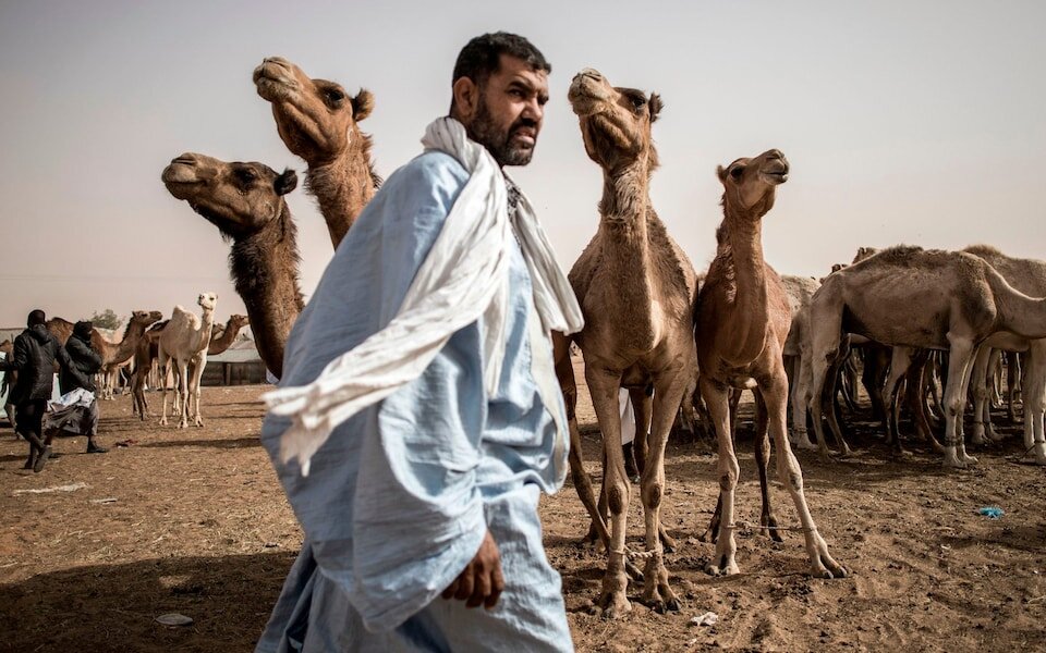 https://www.telegraph.co.uk/content/dam/global-health/2024/05/10/TELEMMGLPICT000221704276_17153503441040_trans_NvBQzQNjv4BqpVlberWd9EgFPZtcLiMQf0Rf_Wk3V23H2268P_XkPxc.jpeg?imwidth=960  https://www.telegraph.co.uk/global-health/science-and-disease/mers-outbreak-saudi-arabia-middle-east-respiratory-syndrome/