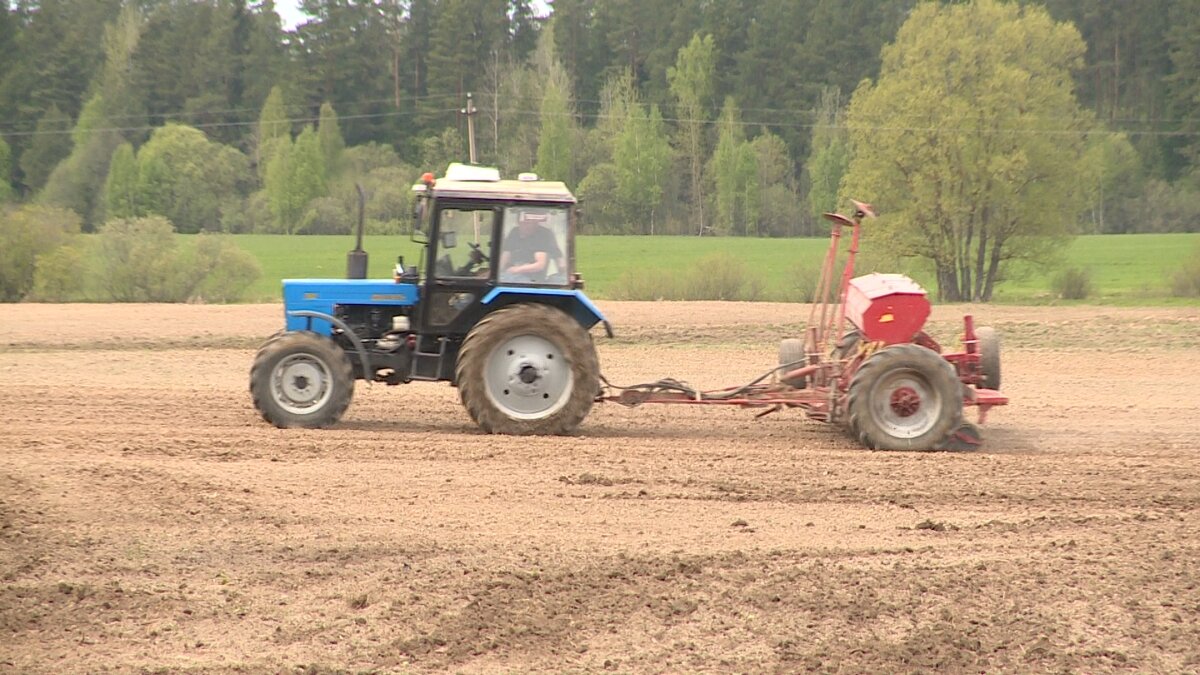    В Ивановской области набирает обороты посевная. Повлияла ли погода?
