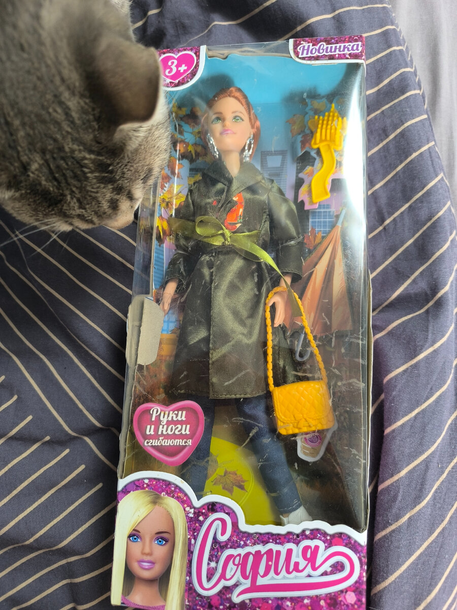 Коробка вся замызганная грязью....