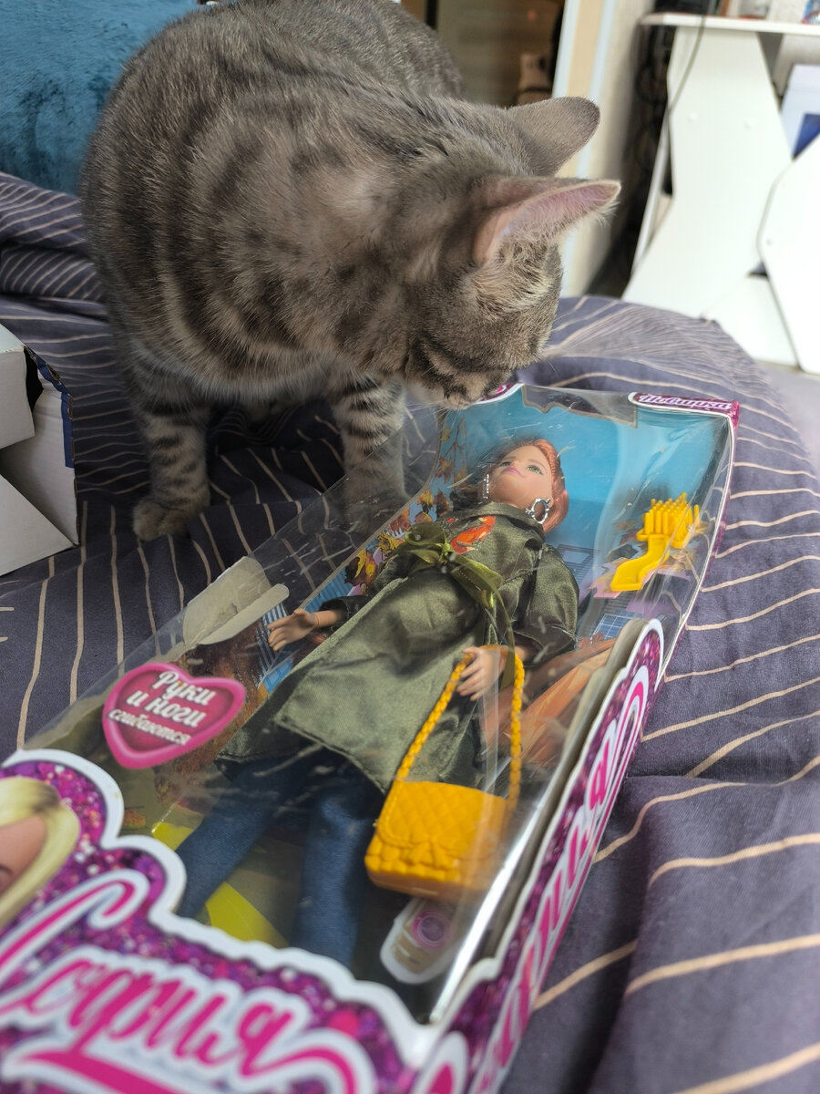 Так. Интересненько