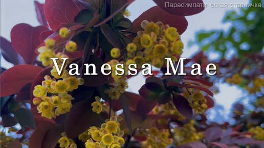 Vanessa Mae, Aurora. Классика в современной обработке. Музыка для души