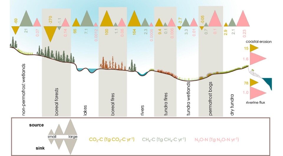   Justine Ramage et al. / Global Biogeochemical Cycles, 2024