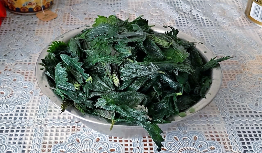 Листья - всему голова