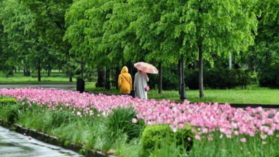    В "Фобосе" сообщили, когда на юг России вернется тепло Ирина Петрова