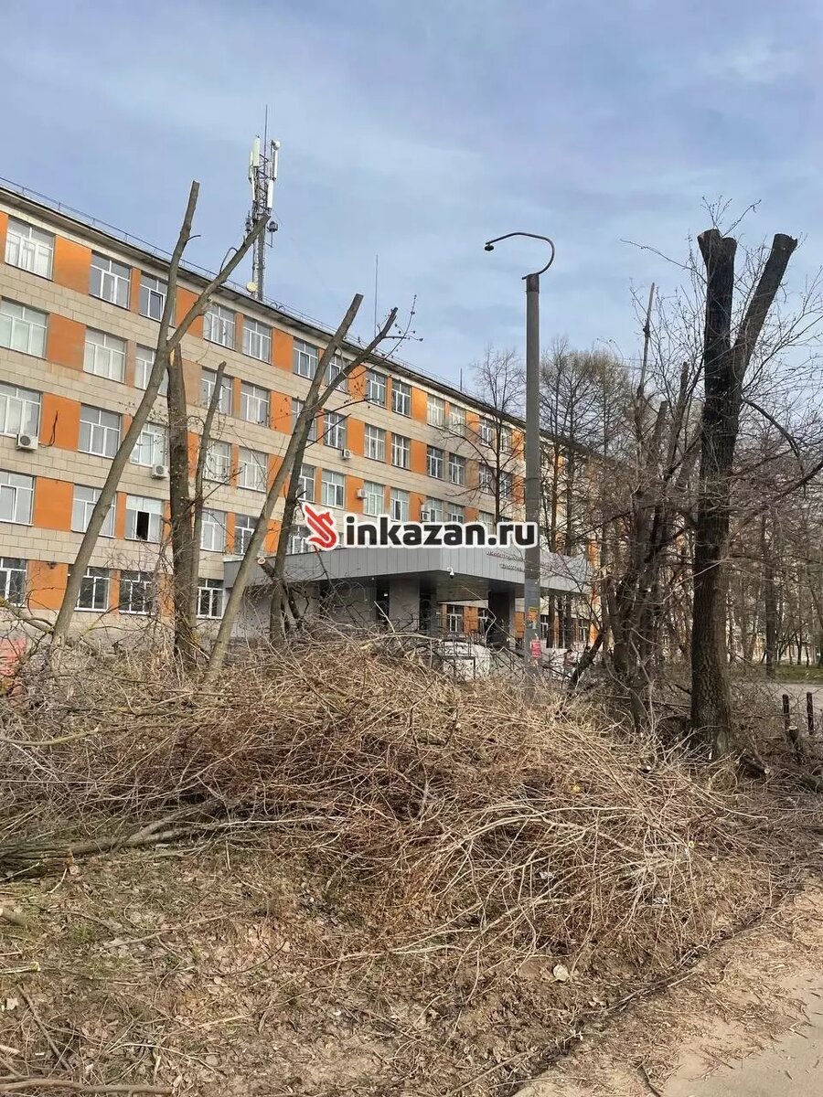     Источник: inkazan.ru