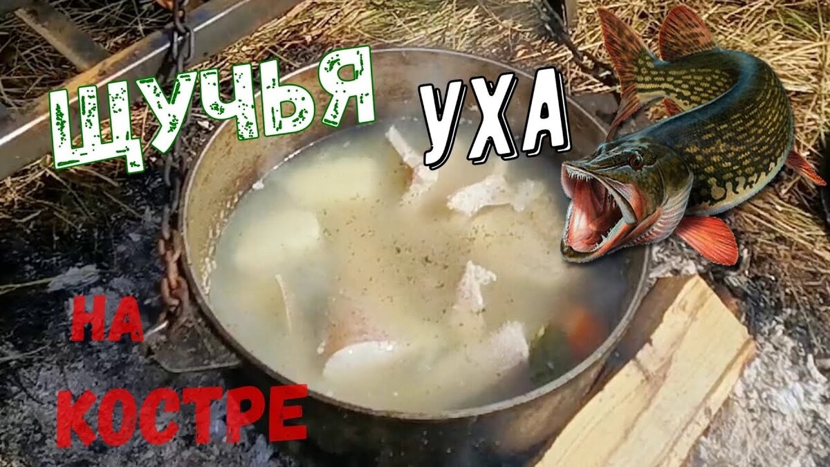 Уха из щуки