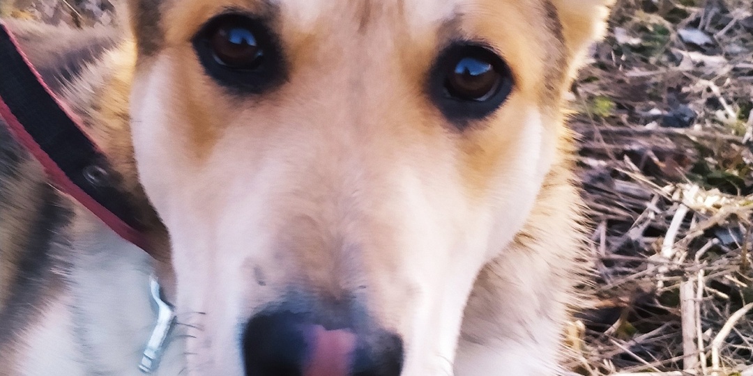 Искренняя радость уехала домой. Рей