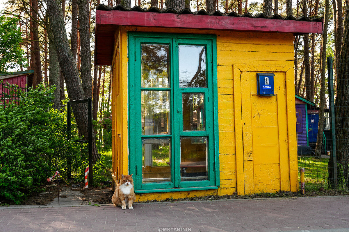 Как советский пионерский лагерь превратили в кемпинг у моря | РЯБИНИН ...