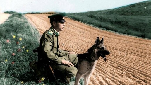 Гарик Сукачёв - Песня о нейтральной полосе