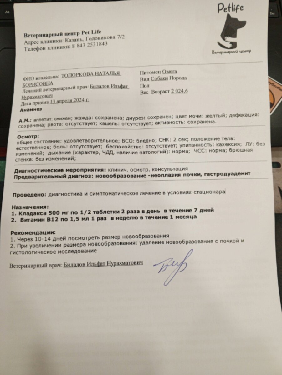 Она лежала на остановке и, казалось, уже ни на что не рассчитывала! 🙏😔🙏  Омега. | Город преданных собак 73 | Дзен