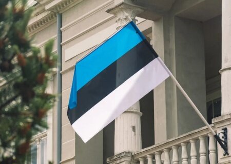    Правительство Эстонии не разрешило школам и детсадам в Нарве преподавание на русском языке