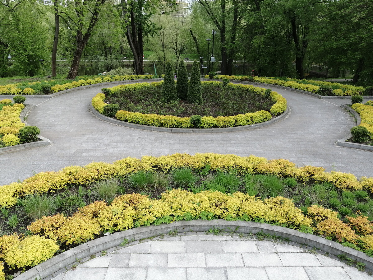 Партерный цветник. Фото автора