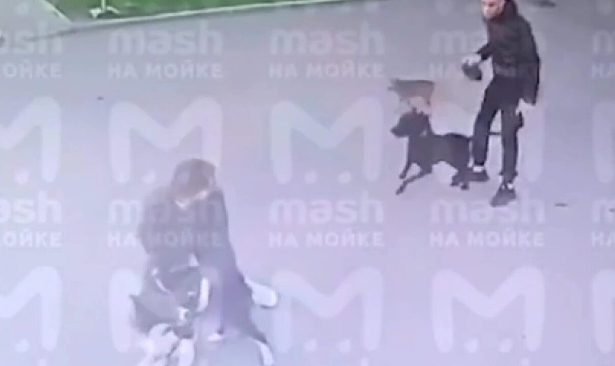 Видео: t.me/mashmoyka