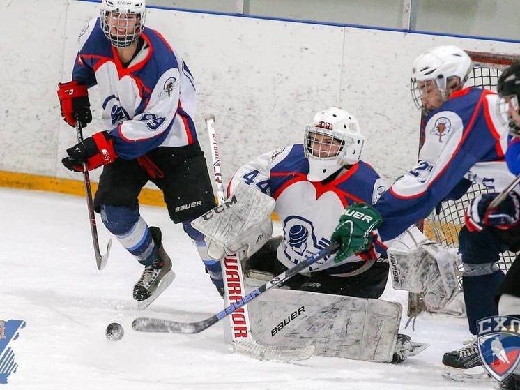     Фото: ЧГУ им. И.Н.Ульянова