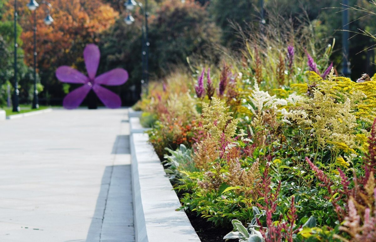 Источник: wikipedia.org Автор: Kristy2906 CC BY-SA 4.0 