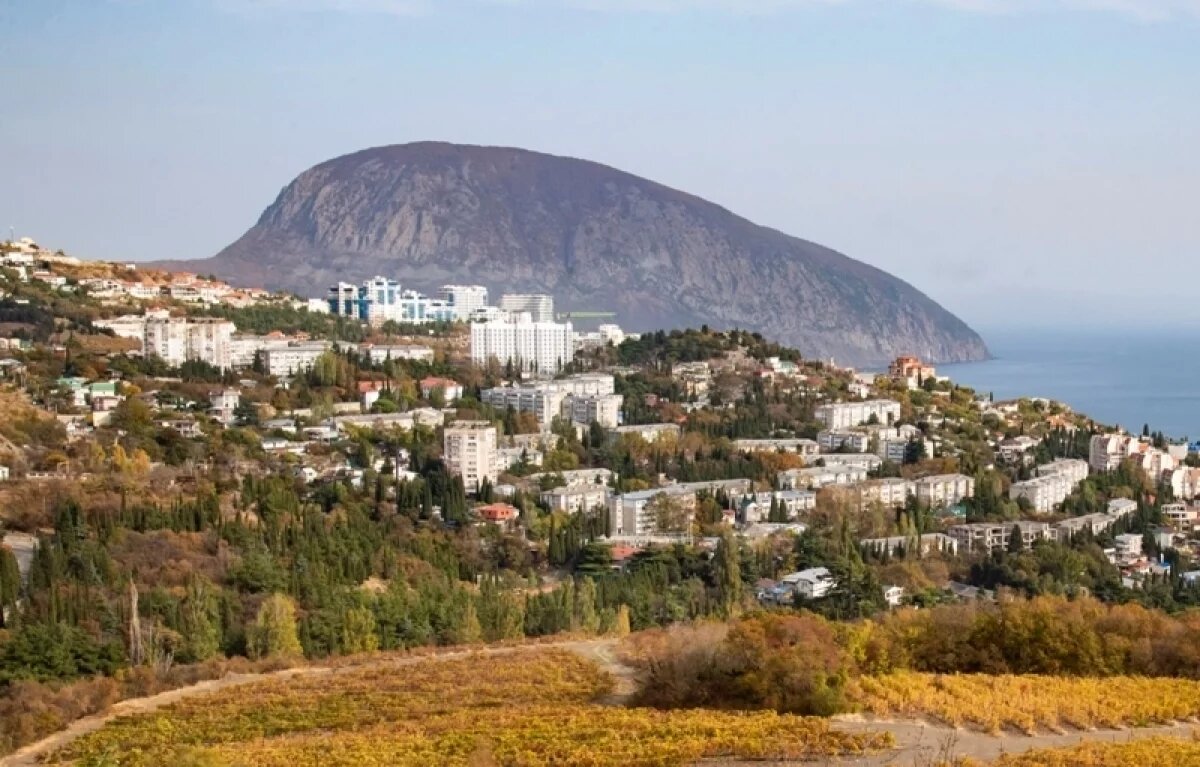    Виноградные поля в Крыму.