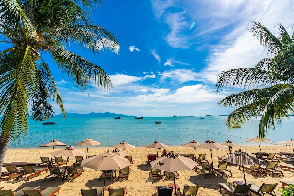 Источник: https://img.freepik.com/free-photo/beautiful-tropical-beach-sea-ocean-with-coconut-palm-tree-umbrella-chair-blue-sky_74190-8827.jpg?t=st=1741894399~exp=1741897999~hmac=a6c936176eff337ea6ad36d2630e30aeb83c0d365cc24f575a7d24c19e99b5c2&w=996