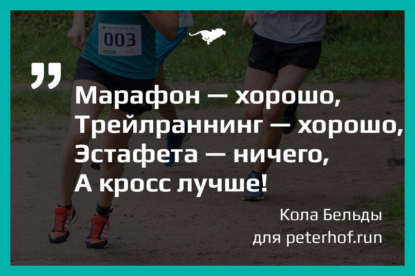 Фото: Летний Кросс в Петергофе 2018