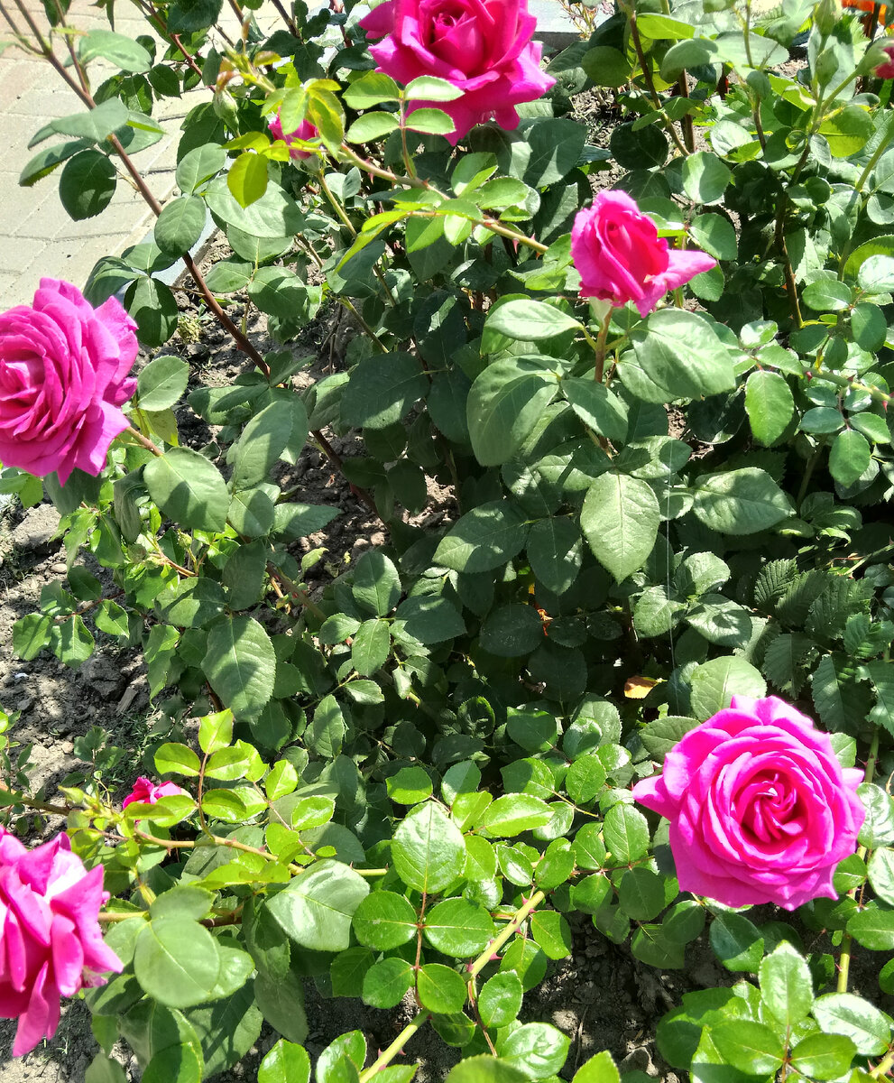 На улицах города