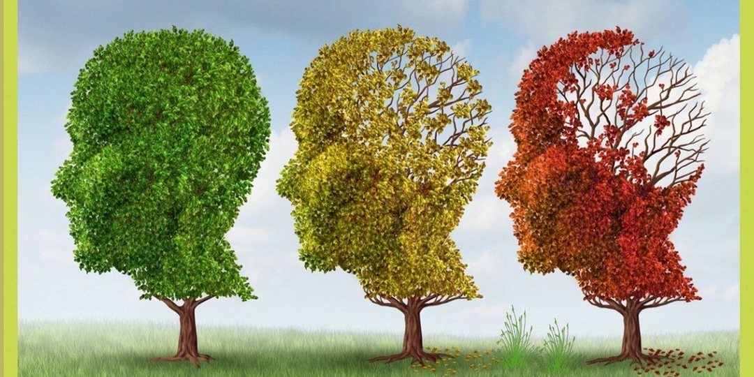 Наука против деменции: 10 простых советов, которые должны стать частью вашего образа жизни (часть вторая)