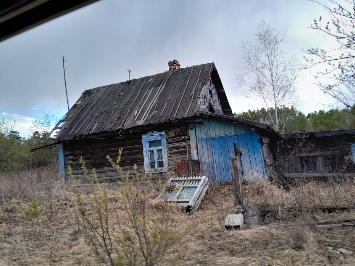 Дактуй, ты наша печаль и радость | Татьяна дальневосточница | Дзен